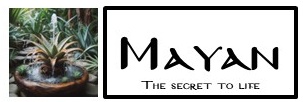 MAYAN — The secret to life
