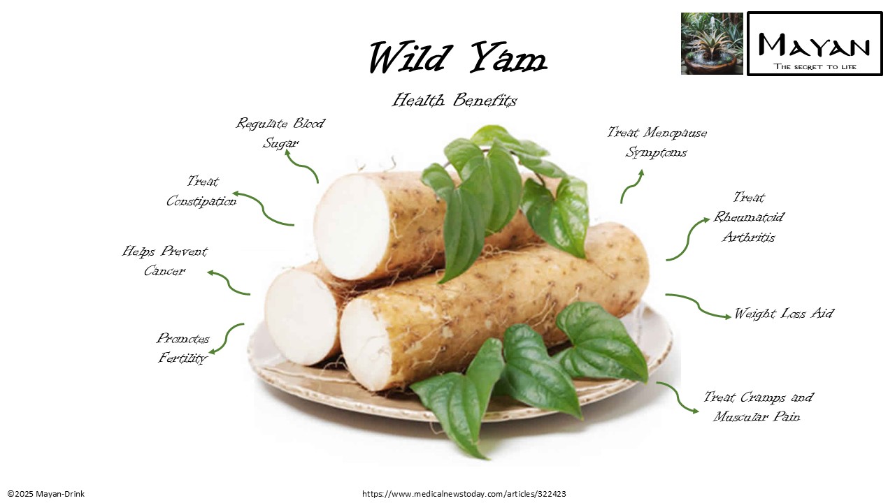Wild Yam source slide